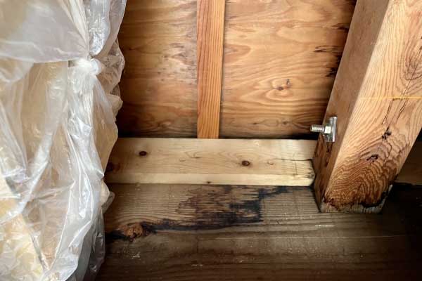 雨漏りの初期症状：部屋がカビ臭い